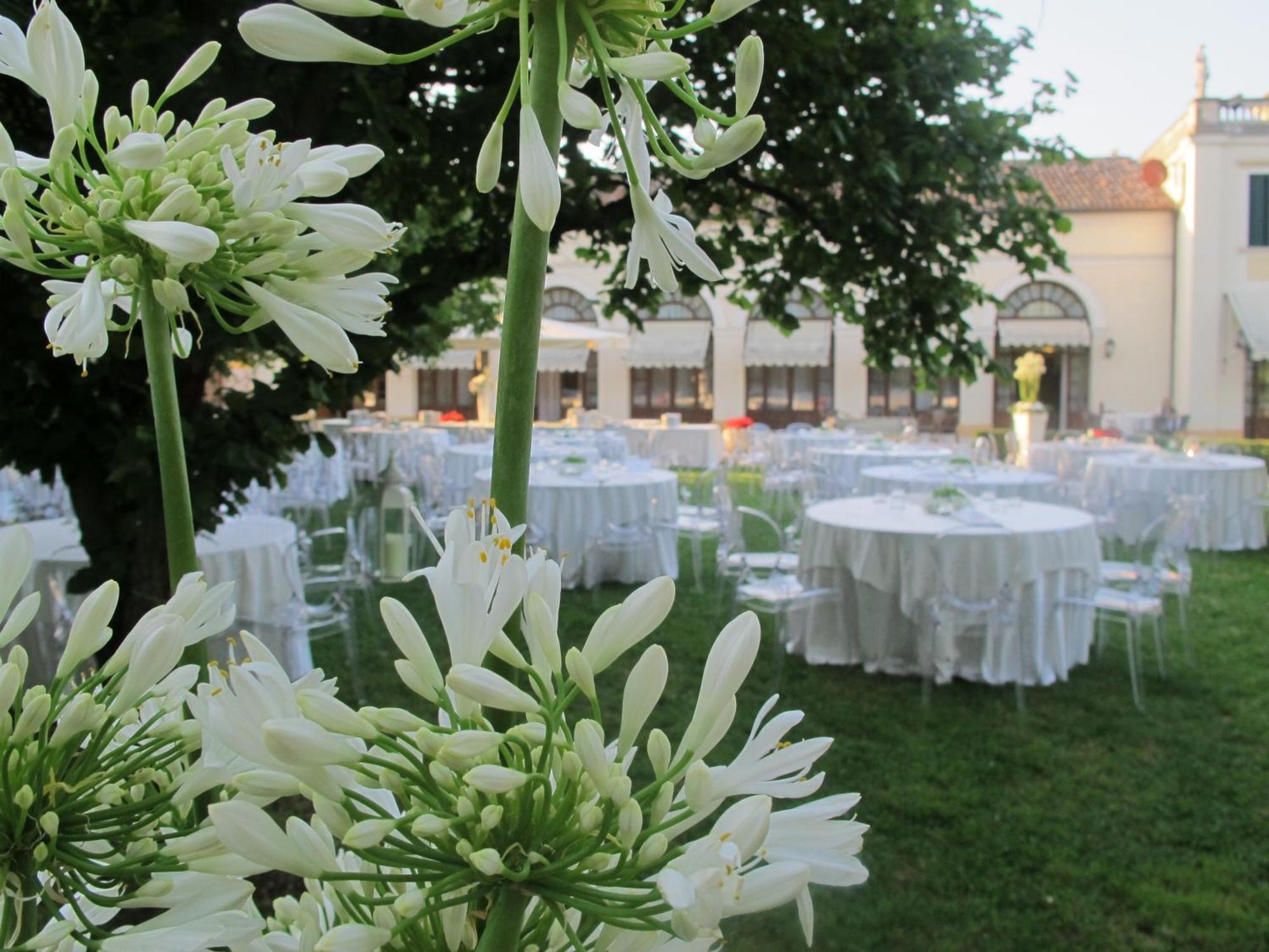 Hotel Villa Braida Mogliano Veneto Esterno foto